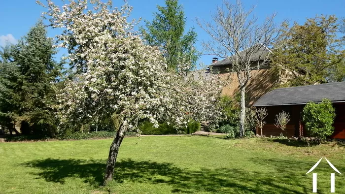 SOMETHING SPECIAL bild-5