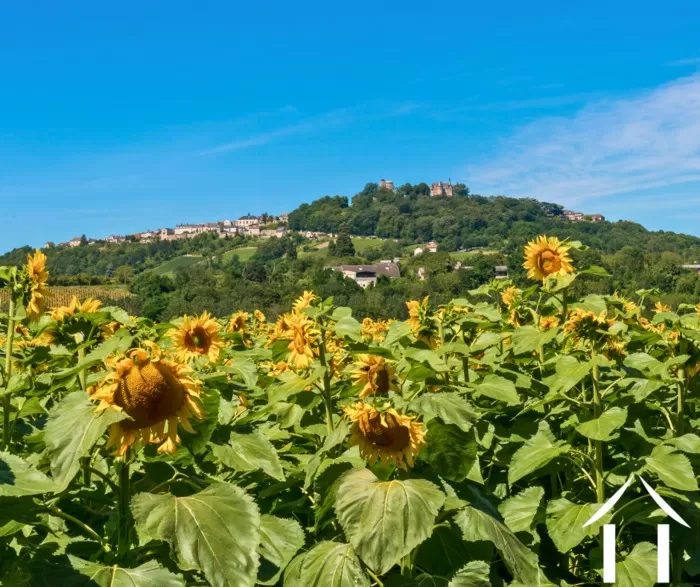 Zomer nieuwsbrief 2025 bild-1